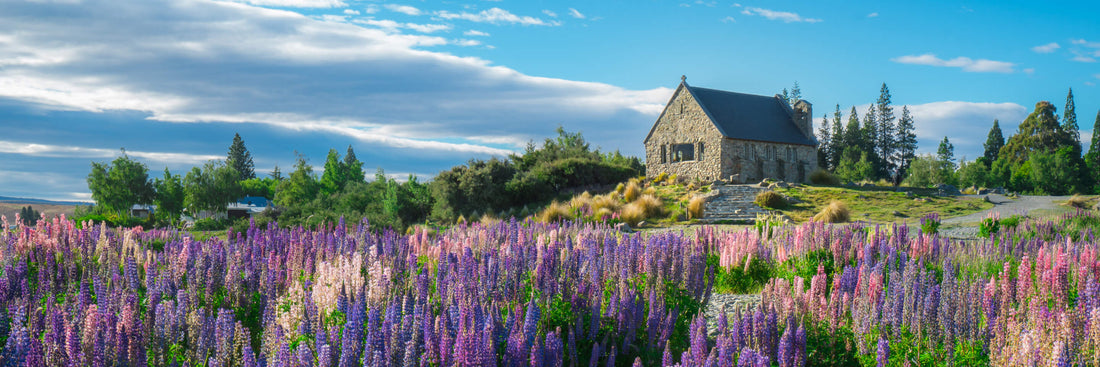 Best Cafes in Tekapo – Local Recommendations